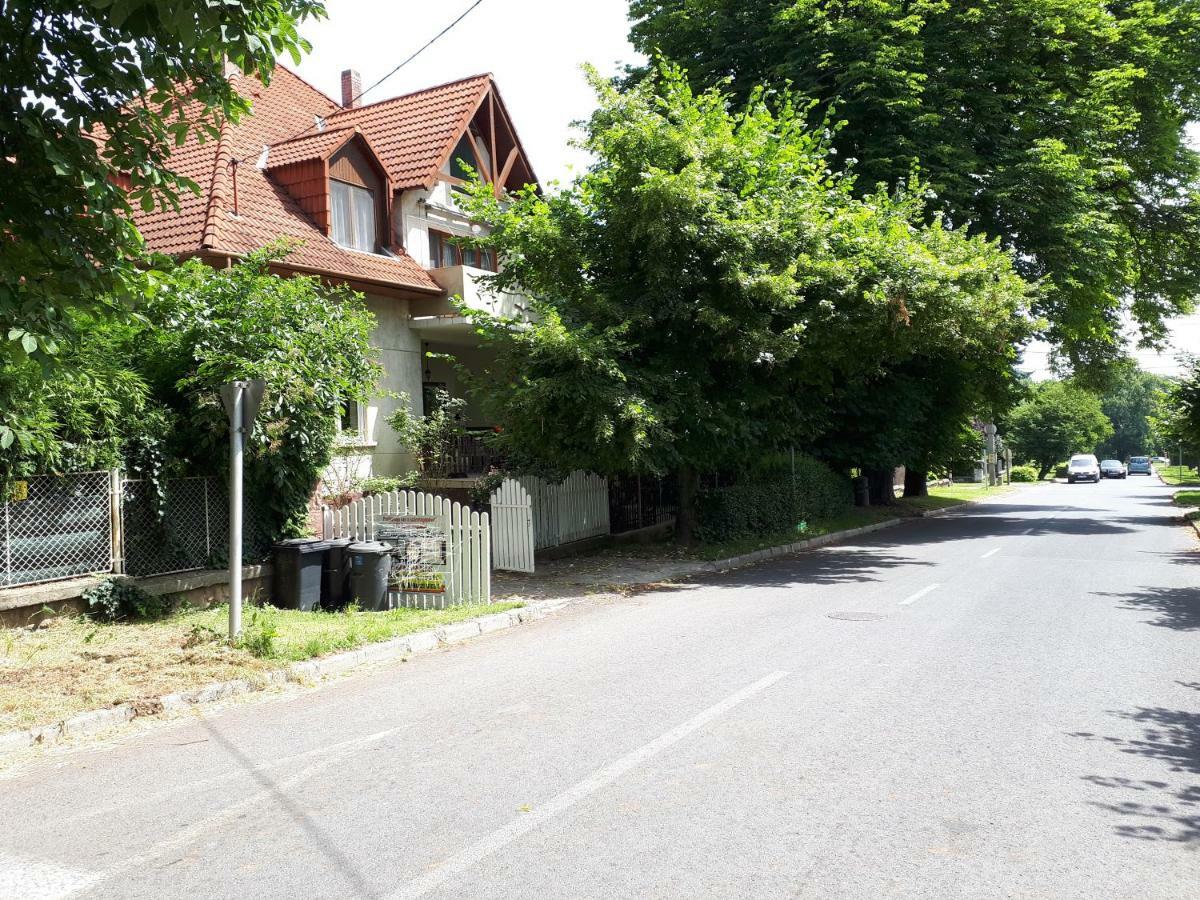 Magdi * Keszthely